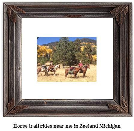 horse trail rides near me in Zeeland, Michigan